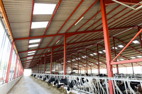 Exploitation bovine et laitière