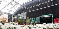 Eskrine Garden Centre en Ecosse