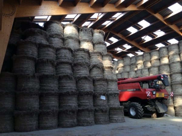 Scea de Fresles - Margny la Pommeraye