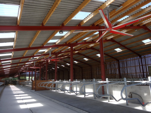 Gaec Nove Josserand - Charentay