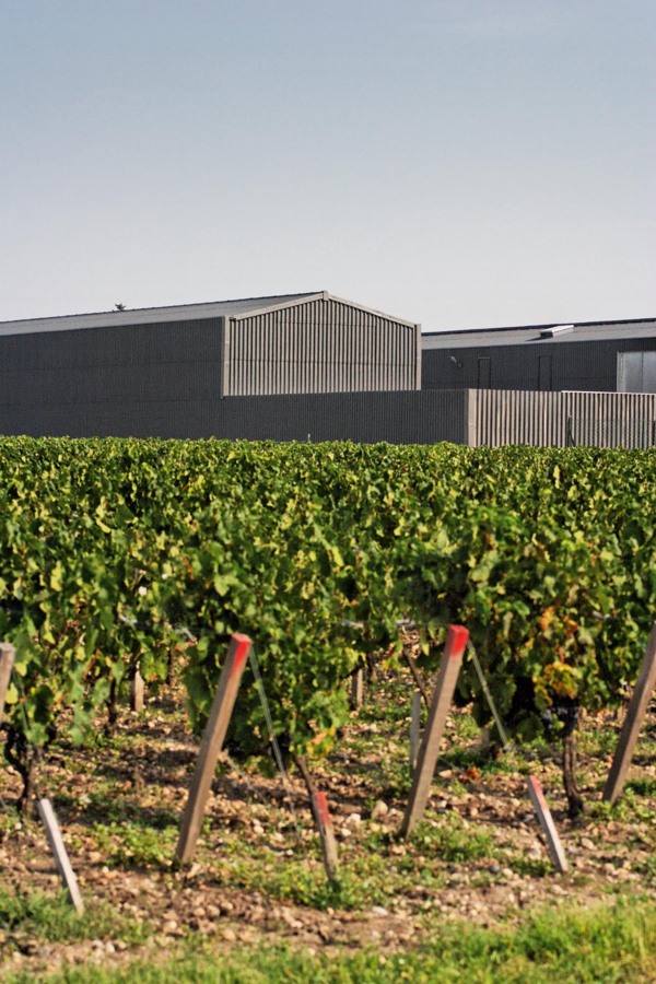Exploitation viticole à Moulis en Médoc